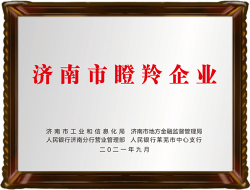 济南市瞪羚企业